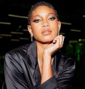 Willow Smith Biography, Age, Height, Boyfriend - mrDustBin